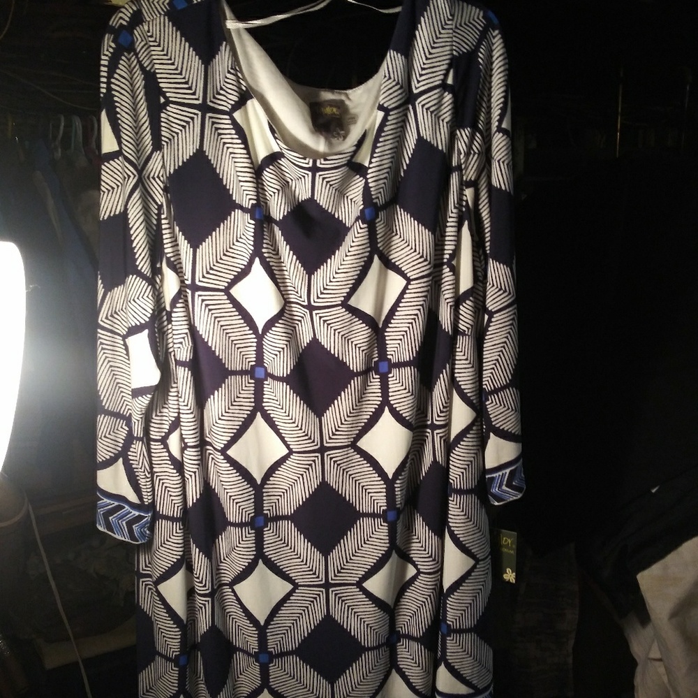 Taylor Plus Size Dress